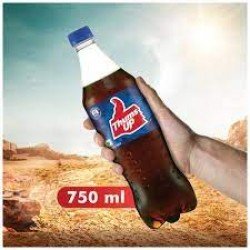 Thums-Up Thums Up Soft Drink 750 ml Bottle | Pack Of 24 Bottles (Price Including Courier Charge)